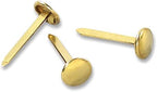 ACCO Brass Paper Fasteners, 1/2", Plated, 1 Box, 100 Fasteners/Box (71709)