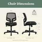 HON Volt Ergonomic Office Chair, Armless, Office Desk Computer Chair, Black
