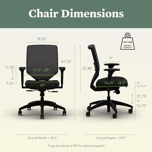 HON Solve Ergonomic Office Chair, Lumbar Support, Desk Chair, Fog
