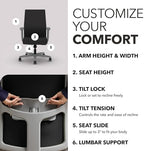 HON Ignition 2.0 Ergonomic Office Chair, Lumbar Support, Onyx