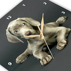 3dRose Wall Clock Silent - 10 inch - Weimaraner Puppy - Dogs Weimaraner