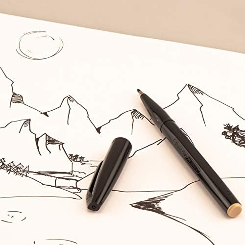 Pentel Arts Sign Pen, Black Ink, 2 Pack (S520BP2A), Assorted