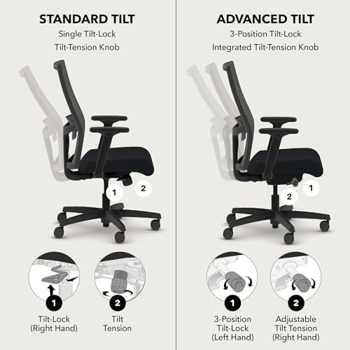 HON Ignition 2.0 Ergonomic Office Chair, Lumbar Support, Bullseye