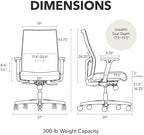 HON Ignition 2.0 Ergonomic Office Chair, Lumbar Support, Bullseye