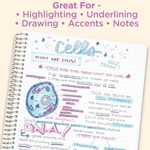 Zebra Pen MILDLINER Highlighter, Neutral Vintage Colors, Dual Tip, 15-Pack