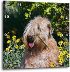 3dRose Wall Clock Silent - 13 inch - Wheaten Terrier Sitting in Yellow Flowers, PR - Animals
