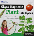Learning Resources Giant Magnetic Plant Life Cycle - STEM Growing Seed, Montessori Tree , Biology Cards, Classroom Teacher Must Haves Activities, Science Homeschool Essentials, Gifts for Students